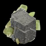 Magnetita con Forsterita (variedad peridoto)
6 x 5 x 6 cm / Cristal principal: 4.9 cm
(Autor: Museo MIM)