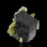 Magnetita con Forsterita (variedad peridoto)
6 x 5 x 6 cm / Cristal principal: 4.9 cm
(Autor: Museo MIM)