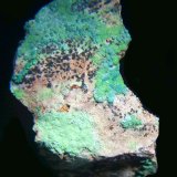 Malaquita y Conicalcita.
54x31 mm.
(Autor: Jesus Franquesa Baucells)