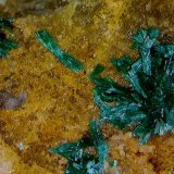Malaquita.
5.99x4.07 mm.
(Autor: Jesus Franquesa Baucells)