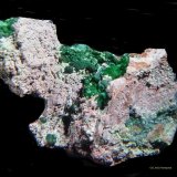 Malaquita y Philipsburgita.
40x30 mm.
(Autor: Jesus Franquesa Baucells)