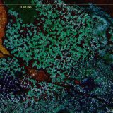 Malaquita.
3´421 x 2´158 mm.
(Autor: Jesus Franquesa Baucells)
