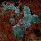 Malaquita.
4´325 x 3´850 mm.
(Autor: Jesus Franquesa Baucells)