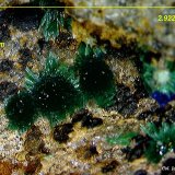 Malaquita.
2´92x1´90 mm.
(Autor: Jesus Franquesa Baucells)