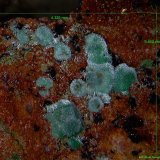 Malaquita.
4´325 x 3´850 mm.
(Autor: Jesus Franquesa Baucells)