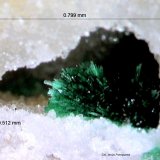 Malaquita y Cuarzo.
0´799 x 0´512 mm.
(Autor: Jesus Franquesa Baucells)