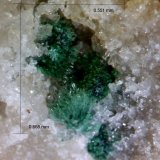 Malaquita y Cuarzo.
0´668 x 0´551 mm.
(Autor: Jesus Franquesa Baucells)