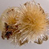 Aragonito
grupo 1.5 cm
(Autor: Cesar M. Salvan)
