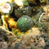 Variscita
Cristal de 5 mm.
(Autor: Calita)