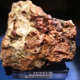Granate (grupo)
10 x 8 cm.
(Autor: Calita)