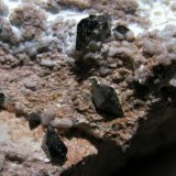 Anatasa
Cristales de 4 mm.
(Autor: Calita)