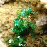Metazeunerita
Grupo de cristales de 8 mm.
(Autor: Calita)
