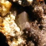 Scheelita
Cristal de 1,5 cm.
(Autor: Calita)