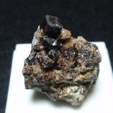 Andradita (variedad melanito)
25x30 mm
(Autor: Ignacio)