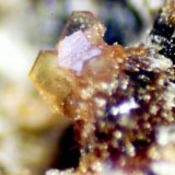 Melilita (Grupo)
< 1 mm
(Autor: José Luis Zamora)