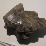 Melita
3,5 x 3 x 1,5 cm  (peso: 10g)
(Autor: Kaszon Kovacs)