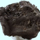 Messelita
40 x 32 x 25 mm
(Autor: José Luis Zamora)