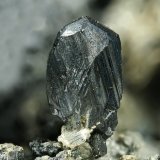 Miargyrita
6.5mm
(Autor: yowanni)