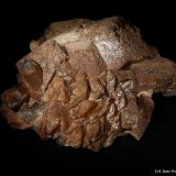 Microclina y  Cuarzo.
45x40 mm.
(Autor: Jesus Franquesa Baucells)
