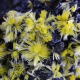 Mimetita
Campo de visión 4,5 mm.
(Autor: Juan Miguel)