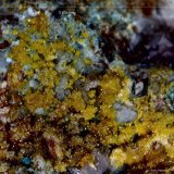 Mimetita.
5´8 x 4´7 mm.
(Autor: Jesus Franquesa Baucells)
