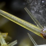 Mimetita
Campo de visión 2 mm.
(Autor: Juan Miguel)