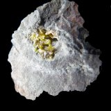 Mimetita.
22x20 mm.
(Autor: Jesus Franquesa Baucells)