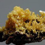 Mimetita
30x20 mm
(Autor: Ramon A  Lopez Garcia)