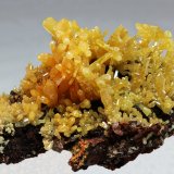 Mimetita
30x20 mm
(Autor: Ramon A  Lopez Garcia)