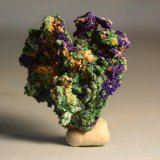 Azurita, Malaquita
5,5 x 4 cm.
(Autor: minero1968)