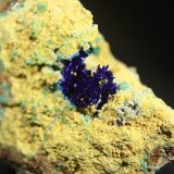 Azurita
Grupo de pequeños cristales de 1,5 cm.
(Autor: minero1968)