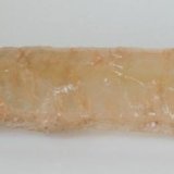 (Autor: Joan Martinez Bruguera)