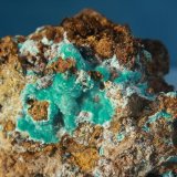 Auricalcita
9,5x8cm
(Autor: minero1968)