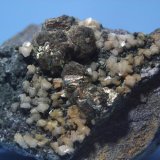 Pirita y Dolomita
11 x 5,5 cm.
(Autor: minero1968)
