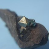 Pirita
Tamaño del cristal mayor 1,2 cm.
(Autor: minero1968)