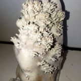 Aragonito
7,6x4,7 cm.
(Autor: Adri Rodríguez)