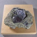 Molibdenita
6,6 x 5,2 x 2,5 cm.
(Autor: J. G. Alcolea)
