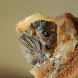 Molibdenita
Cristal de 1,7cm
(Autor: srm13151)