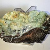Alofana
6x9,5 cm.
(Autor: Adri Rodríguez)
