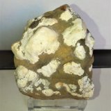 Tinticita
7x5 cm.
(Autor: Adri Rodríguez)