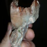 Cuarzo
3,5 x 4 cm (el cristal)
(Autor: Iwok)