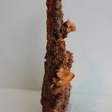 Baritina
12 x 6 cm
(Autor: Pedro Conesa)