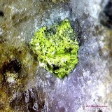 Mottramita.
1´337 x 1´186 mm.
(Autor: Jesus Franquesa Baucells)