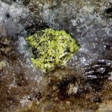 Mottramita.
1´040 x 1´011 mm.
(Autor: Jesus Franquesa Baucells)