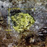 Mottramita.
1´040 x 1´011 mm.
(Autor: Jesus Franquesa Baucells)