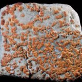 limonita pseudomórfica de Pirita
8,1 x 6,6 x 2,7 cms
(Autor: Joan Martinez Bruguera)