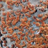 limonita pseudomórfica de Pirita
8,1 x 6,6 x 2,7 cms
(Autor: Joan Martinez Bruguera)
