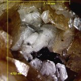 Nacrita
4´72x3´75 mm.
(Autor: Jesus Franquesa Baucells)