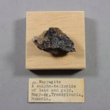 Nagyagita
3,5 x 2 cm.
(Autor: J. G. Alcolea)