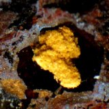 Natrojarosita
< 2 mm
(Autor: José Luis Zamora)